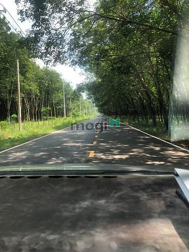 Hình ảnh Tôi Cần Bán Lô Đất Mặt Tiền Đường ĐT756 Chơn Thành Bình