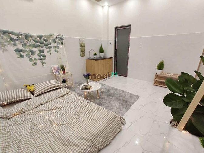 Hình ảnh CHDV mini siêu xinh Ngay Thống Nhất P16 , Gò Vấp