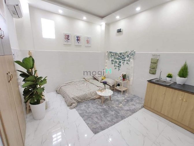 Hình ảnh CHDV mini siêu xinh Ngay Thống Nhất P16 , Gò Vấp