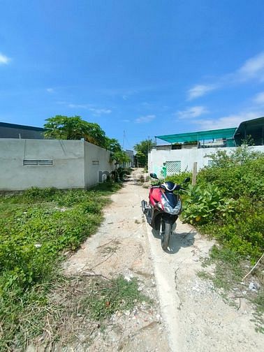 Hình ảnh Cần bán 2 lô đất lúa P.Mỹ Đông cho chuyển thổ cư dg ô tô