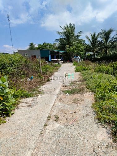 Hình ảnh Cần bán 2 lô đất lúa P.Mỹ Đông cho chuyển thổ cư dg ô tô