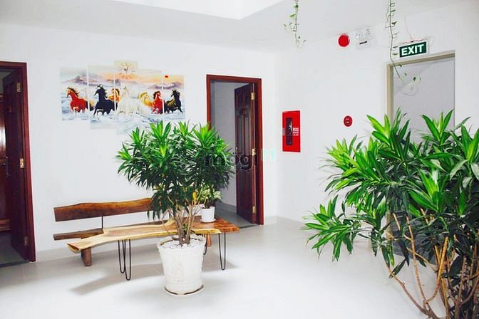 Hình ảnh Căn Hộ Full nội thất 40m2 bancol máy giặt riêng ngay Etown Cộng Hòa TB
