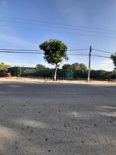Hình ảnh Cho thuê 1050m2 đất TMDV sau lưng Bảo Tàng mặt tiền Nguyễn Công Trứ