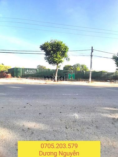 Hình ảnh Cho thuê 1050m2 đất TMDV sau lưng Bảo Tàng mặt tiền Nguyễn Công Trứ