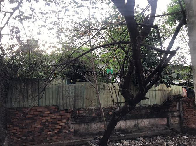Hình ảnh Chủ Định Cư Canada bán gấp 200m2 đất ,Hẻm Ôtô,Thạch Mỹ Lợi, Q2, 9tỷ8