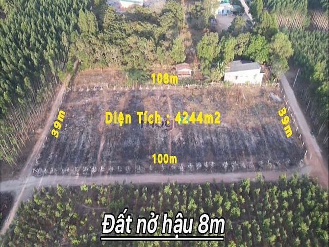 Hình ảnh Bán lô góc 3 mặt tiền duy nhất 4244M2 Tân Xuân Hàm Tân Bình Thuận