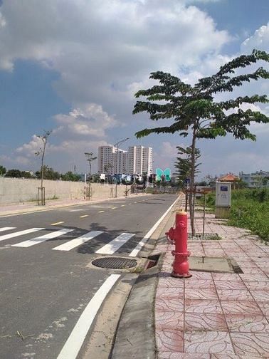 Hình ảnh Bán Đất Nền Mặt Tiền Bình Chánh (100m2)-Sổ Riêng