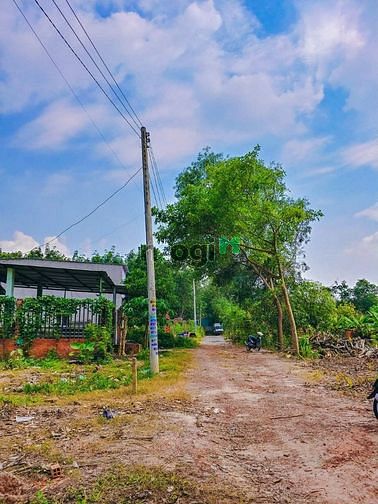 Hình ảnh Tôi cần bán 2 lô đất rộng hơn 2000m2 sát đường 65m