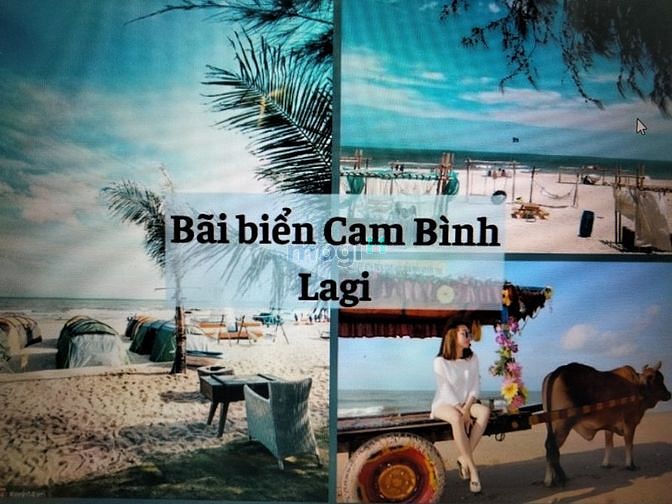 Hình ảnh 👉 Sốc, bán đất Cam Bình, Lagi, Bình Thuận, 965M2, 100 thổ cư, chỉ 9.1