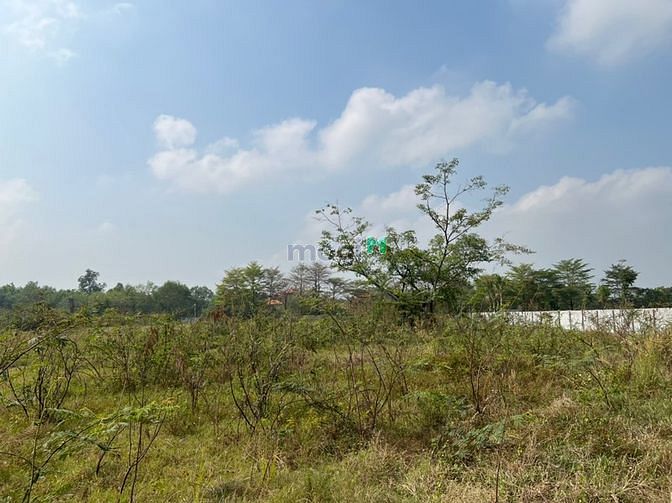 Hình ảnh Dự Án 2 MT-Phân Lô- Wien Sông SG-Long Phước Q9 - 33000m2 Giá Chỉ
