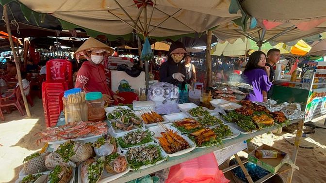 Hình ảnh Bán đất Thổ Cư gần Dinh Thầy Thím Tân Tiến Lagi BìnhThuận,giá rẻ.