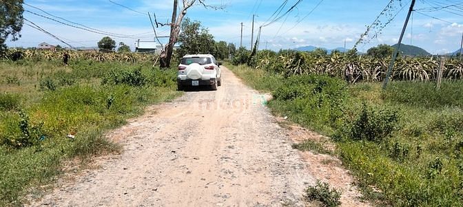 Hình ảnh Bán đất Thổ Cư gần Dinh Thầy Thím Tân Tiến Lagi BìnhThuận,giá rẻ.