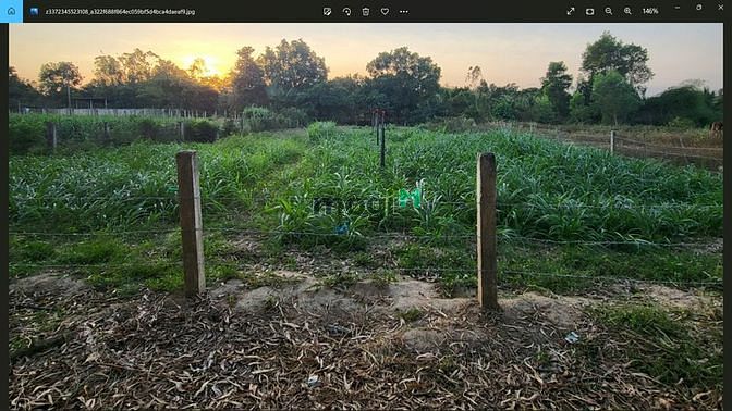 Hình ảnh 👉 Tìm chủ mới cho lô đất Suối 1 Sào Mb6688 đang hoakt động đẹp,giá rẻ.
