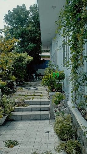 Hình ảnh Bán đất tặng nhà, P.Chánh Mỹ, TP.TDM, DT:20x25,TC160m2, SHR, 8,5 tỷ
