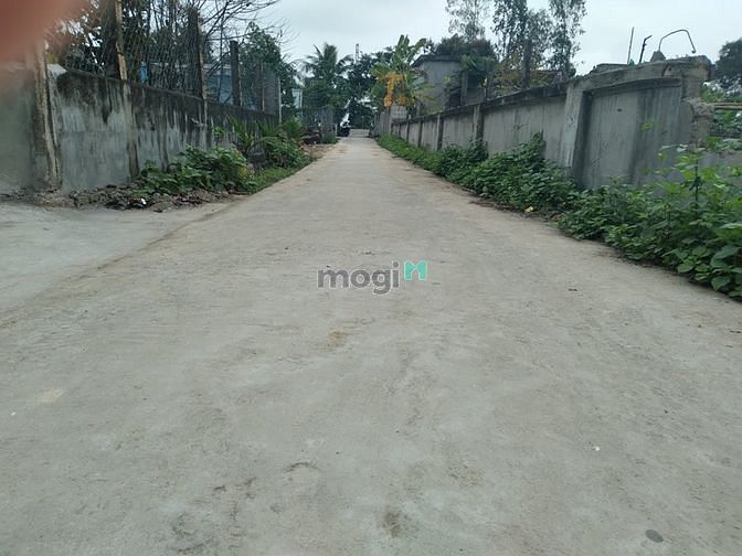 Hình ảnh Đất thổ cư giá rẻ Xã Tế Nông, Nông Cống.