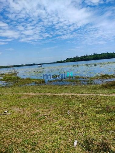 Hình ảnh Bán đất Minh Hòa, Dầu Tiếng, DT:130x355, TC100m2, SHR, giá 25 tỷ/4,6ha