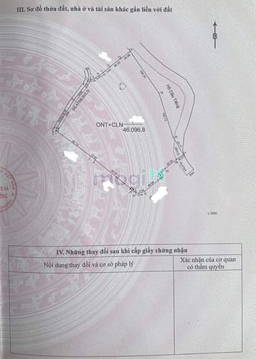 Hình ảnh Bán đất Minh Hòa, Dầu Tiếng, DT:130x355, TC100m2, SHR, giá 25 tỷ/4,6ha