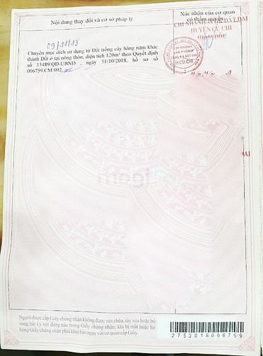 Hình ảnh Đất 2 mặt tiền xã Thái Mỹ - 302m2 - 9.5x33 - 120m2 thổ cư - Củ Chi