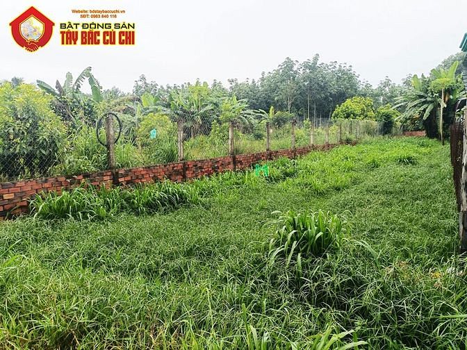 Hình ảnh Bán đất đường Tỉnh Lộ 15 - 346m2 - 6.7x50 - 120m2 thổ cư - xã An Phú