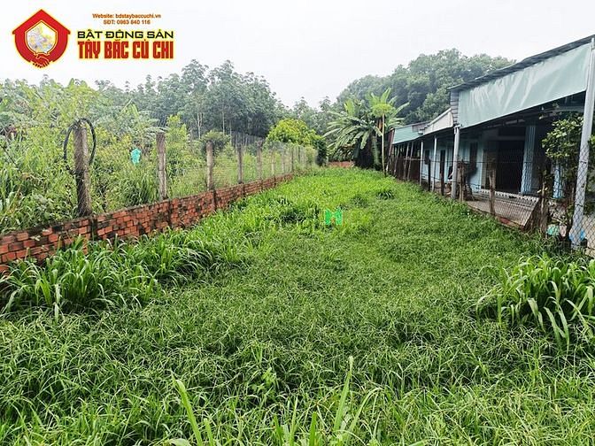 Hình ảnh Bán đất đường Tỉnh Lộ 15 - 346m2 - 6.7x50 - 120m2 thổ cư - xã An Phú