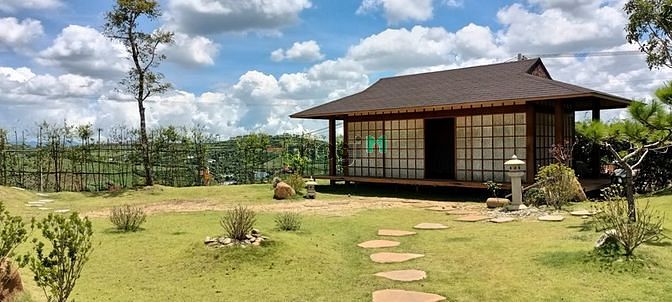 Hình ảnh Đất full thổ Bảo Lộc, mặt tiền đường nhựa 9m giá Trang MB66.COM Chính Thức - MB 66 Uy Tín
