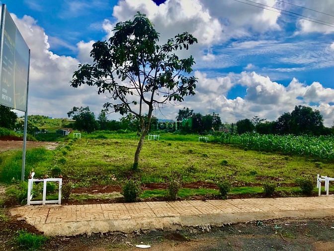 Hình ảnh Đất Lộc An- Diện tích 5*21 full thổ cư, sổ hồng đầy đủ