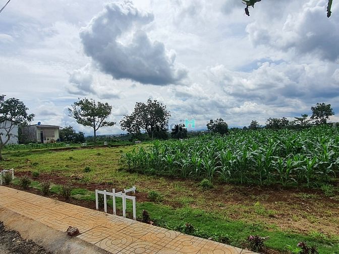 Hình ảnh Đất Lộc An- Diện tích 5*21 full thổ cư, sổ hồng đầy đủ