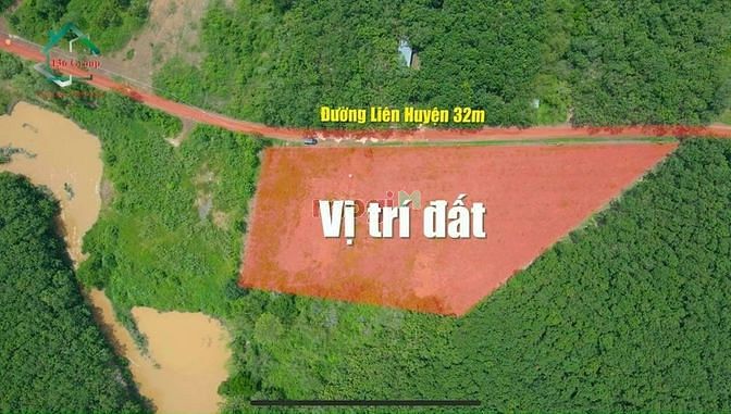 Hình ảnh Hiện bên em đang bán đất Tân Quan Hớn Quản Bình Phước