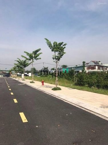 Hình ảnh Bán 20 lô đất MT Vườn Lài, An Phú Đông, Quận 12, có sẵn sổ, vị trí đẹp