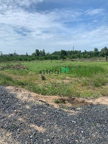 Hình ảnh Đất vườn bến lức long an, Sổ sẵn sang tên ngay