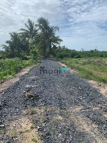 Hình ảnh Đất vườn bến lức long an, Sổ sẵn sang tên ngay
