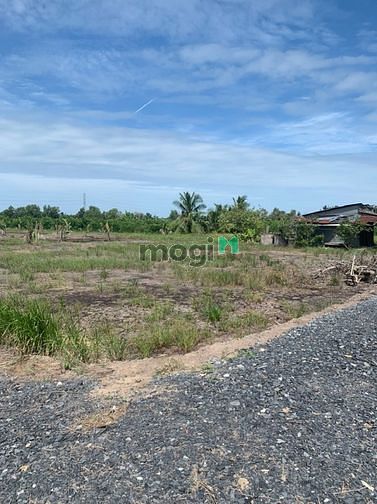 Hình ảnh Đất vườn bến lức long an, Sổ sẵn sang tên ngay