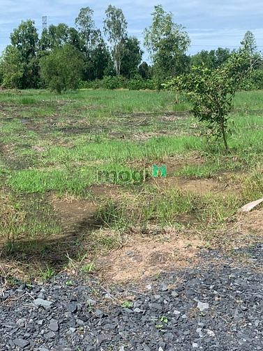 Hình ảnh Đất vườn bến lức long an, Sổ sẵn sang tên ngay