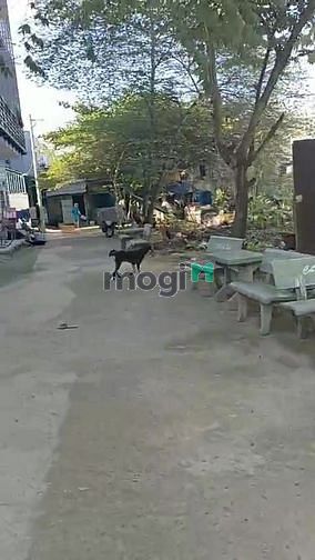 Hình ảnh Bán đất thổ cư phường thạnh lộc Q12