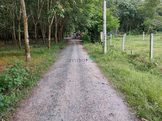 Hình ảnh 🍀🍀Mặt tiền đường đất 4M - 200M2 - 50m2 THỔ CƯ - GIÁ CHỈ 470TR