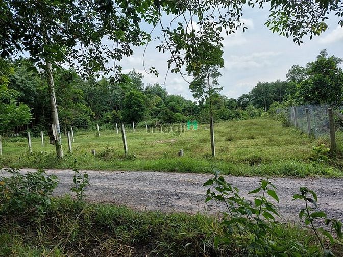 Hình ảnh 🍀🍀Mặt tiền đường đất 4M - 200M2 - 50m2 THỔ CƯ - GIÁ CHỈ 470TR