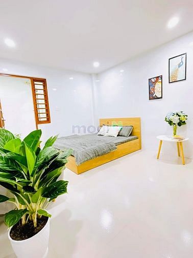 Hình ảnh Cho thuê CHDV kế bên phố đi bộ Nguyễn Huệ