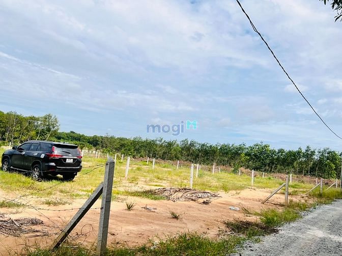Hình ảnh Bán đất chính chủ cập đường Mỹ Phước Tân Vạn