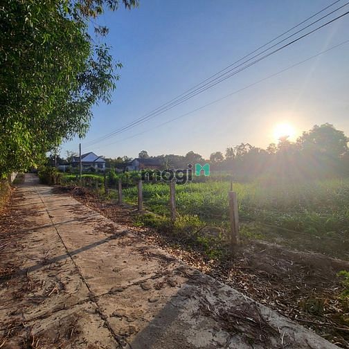 Hình ảnh Bán 1 Sào đất Tân Hà,Hàm Tân,Bình Thuận,giá rẻ