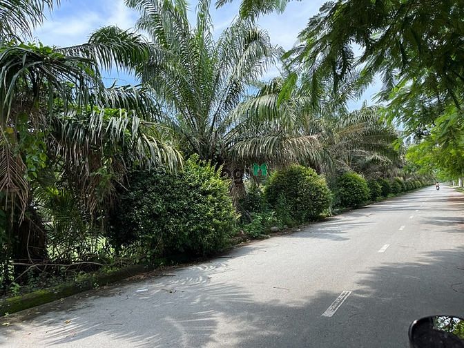 Hình ảnh Đất thổ cư đức hòa, cách TT củ chi chỉ 5km