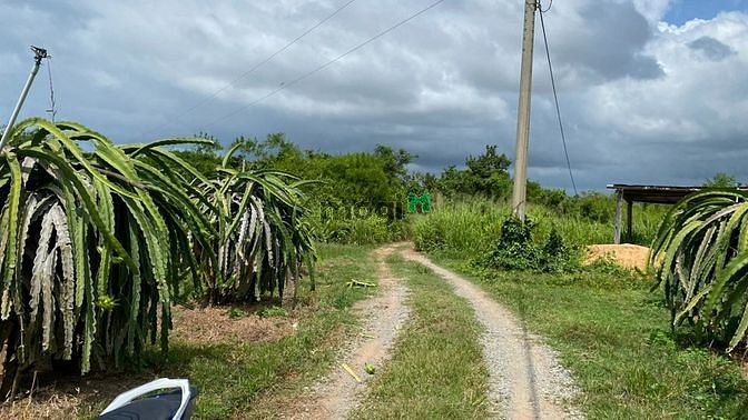 Hình ảnh 3000m đất Bình Thuận giáp suối, đường xe hơi