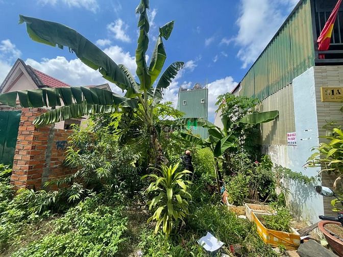 Hình ảnh Bán lô đất Lê Minh Xuân, P. Tân Lập, TP Buôn Ma Thuột