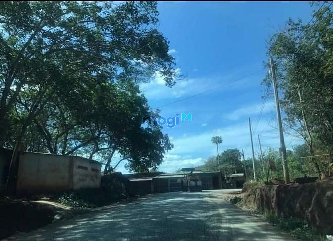 Hình ảnh Bán Đất Cách Mặt Tiền Bến Than 150m Sổ Hồng Riêng Chính Chủ.