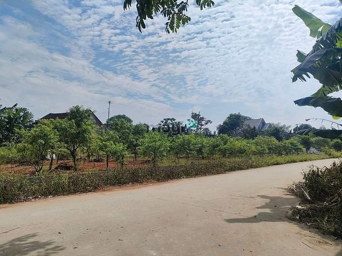 Hình ảnh Bán 2 lô đất thổ cư liền kề, gần trung tâm hành chính