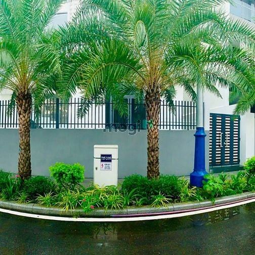 Hình ảnh Nhà phố Precia Riverside Q2 số lượng có hạn 3 căn duy nhất đã có sổ