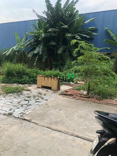 Hình ảnh Đất hẻm Thạnh Xuân 52, quận 12, 4x10,5m, hẻm 5,5m