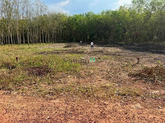Hình ảnh Bán đất Minh Hòa, Dầu Tiếng, DT:10x50, TC100m2, SHR, giá 1,270 tỷ