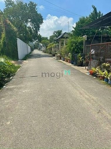 Hình ảnh Gần Núi Bà Đen - 510 Triệu - Thổ Cư - Sổ Sẵn