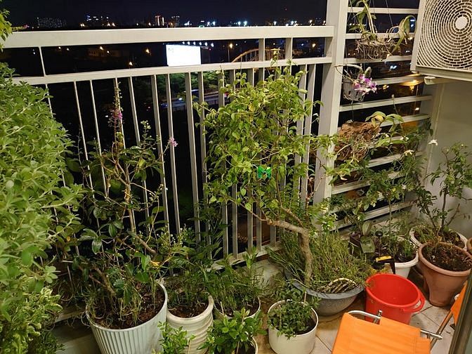 Hình ảnh Cho thuê Trang Chủ MB66.COM / Đăng Ký Tặng 66K Riva Park quận 4