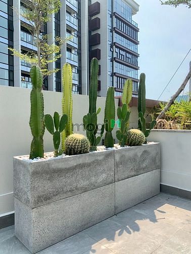 Hình ảnh Special - 2pn sân vườn - 90m2 - Full - 55tr Metropole